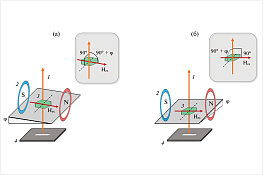 Динамика магнитной доменной структуры в монокристаллах бората железа во внешних полях Динамика магнитной доменной структуры в монокристаллах бората железа во внешних полях